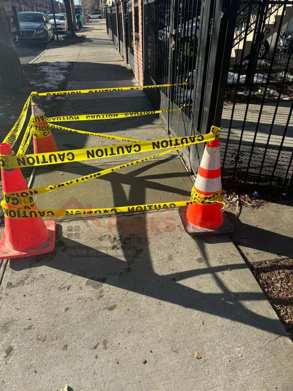 Tree Root Damage Sidewalk Image